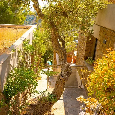 Mariposa Gaou Benat Villa
